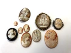 A collection of cameos and cameo brooches