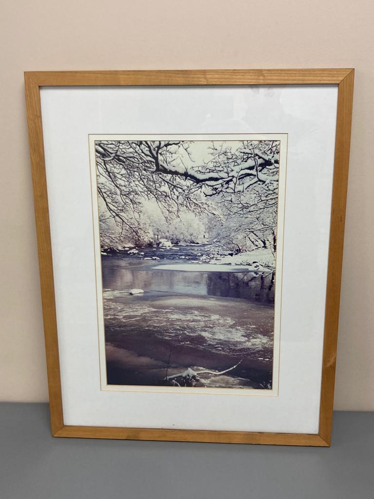 David Belilios : Frozen reed, mono photograph, signed, 44 cm x 30 cm.