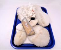 A tray containing a quantity of coral and shell specimens