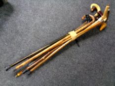 A bundle of assorted walking sticks to include horn handled examples