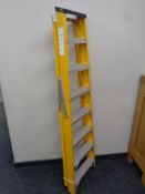 A set of Lyte eight tread folding ladders