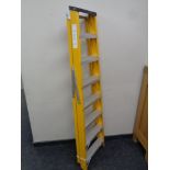 A set of Lyte eight tread folding ladders