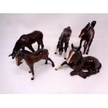 Five Beswick brown gloss foals