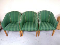 Three tub chairs in striped green upholstery
