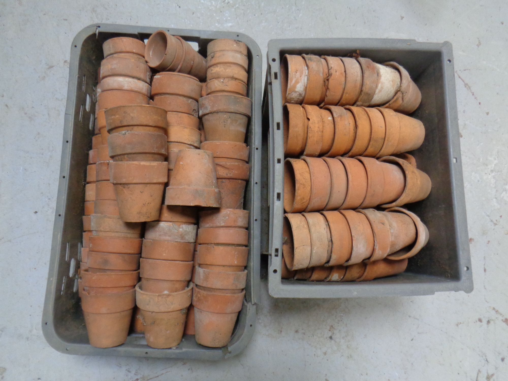 Three crates of terracotta plant pots