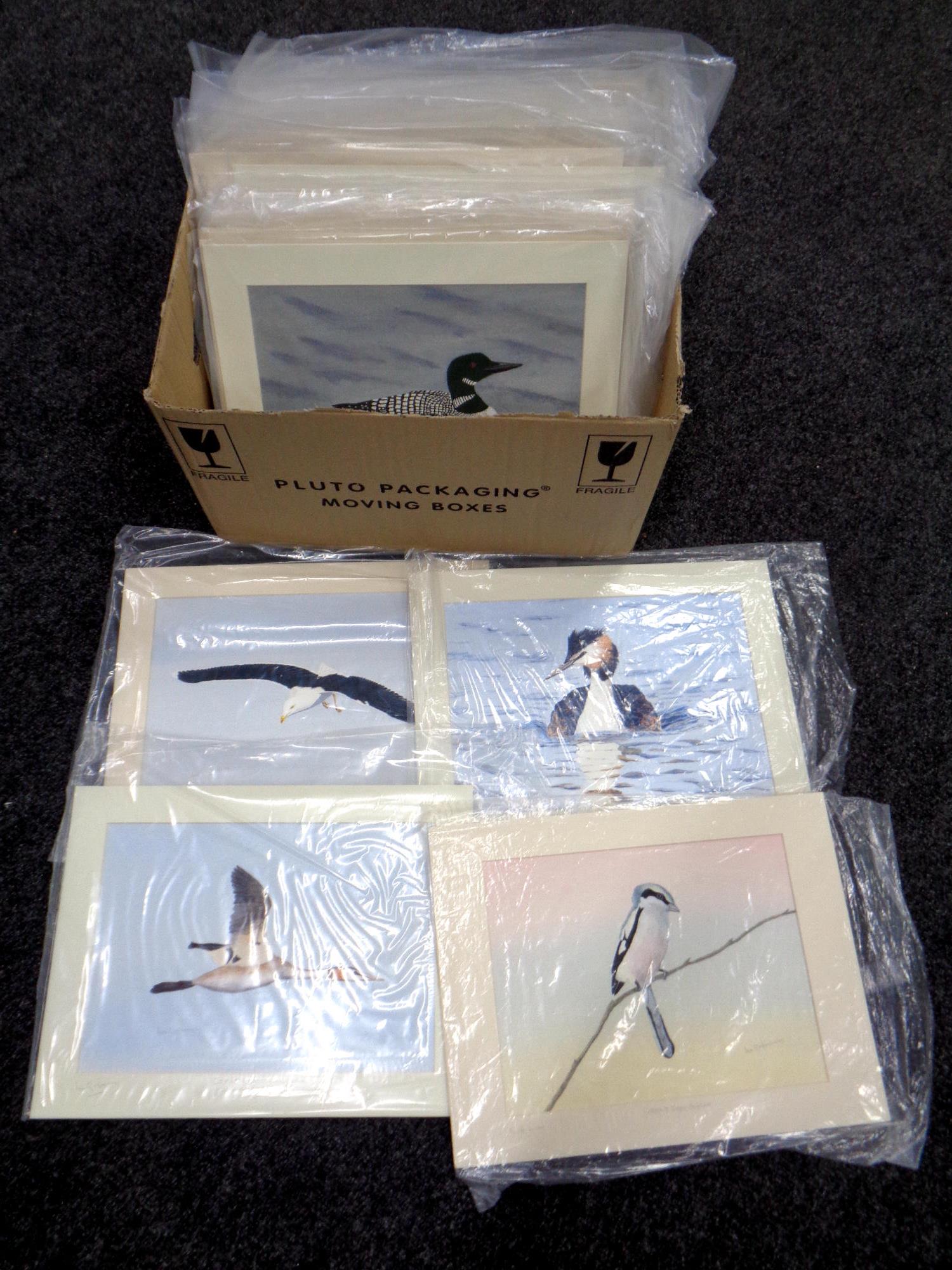 A collection of Ian R Hornsby watercolours of birds,