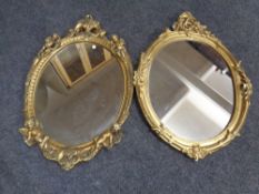 Two ornate gilt framed chalk mirrors