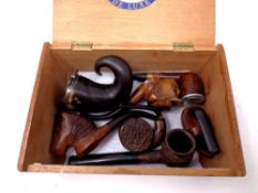 A teak cigarette box containing 19th century horn snuff box and pipes