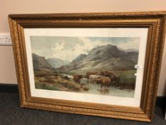 After Tom Rowden : Highland cattle, colour print,