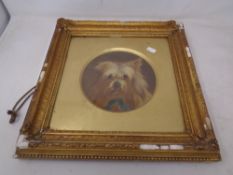 Twentieth century school portrait of a terrier,
