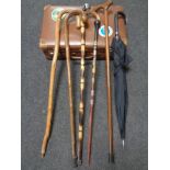 A vintage luggage case containing six assorted walking sticks and umbrellas including a tribal