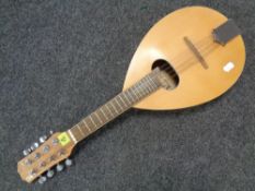 A Blue Moon mandolin