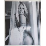 Photos of Pamela Anderson at Chateau Marmount,