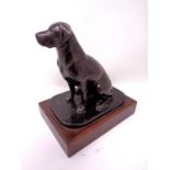 A bronze figure of a Labrador mounted on a wooden plinth. 21cm high by 20cm deep by 14cm wide.