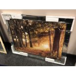 A picture depicting a forest in a mirrored frame,