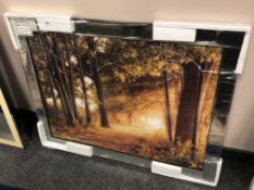 A picture depicting a forest in a mirrored frame,
