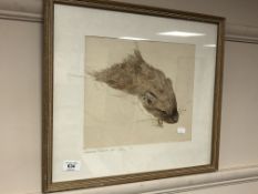 Hannah Prosser : Head study of a stoat, watercolour, framed, 29cm x 25cm.