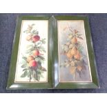 A pair of 20th century oil-on-canvas still life paintings of fruit, framed.