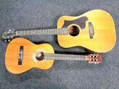 A Serenata classical guitar together with a further acoustic guitar.