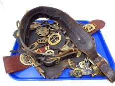 A quantity of horse brasses on leather straps.