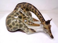 A USSR china figure of a seated giraffe (height 13.5cm).