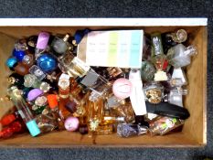 A box containing a very large quantity of perfumes.