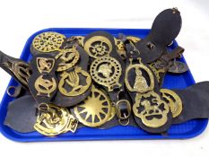 A quantity of horse brasses on leather straps.
