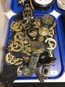 A tray containing a quantity of antique horse brasses on leather straps.