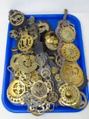 A tray containing a large quantity of antique horse brasses, some on leather straps.