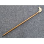 A walking stick with horse head handle.