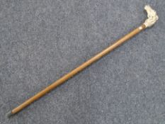 A walking stick with horse head handle.
