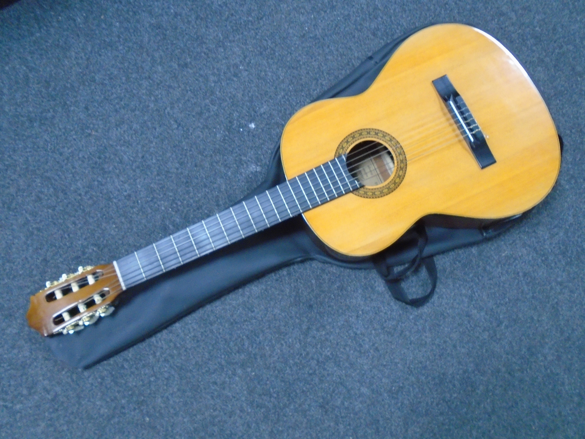 A Leonora acoustic guitar in carry bag.