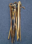 Two bundles of assorted walking sticks including brass horse head example etc