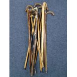Two bundles of assorted walking sticks including brass horse head example etc