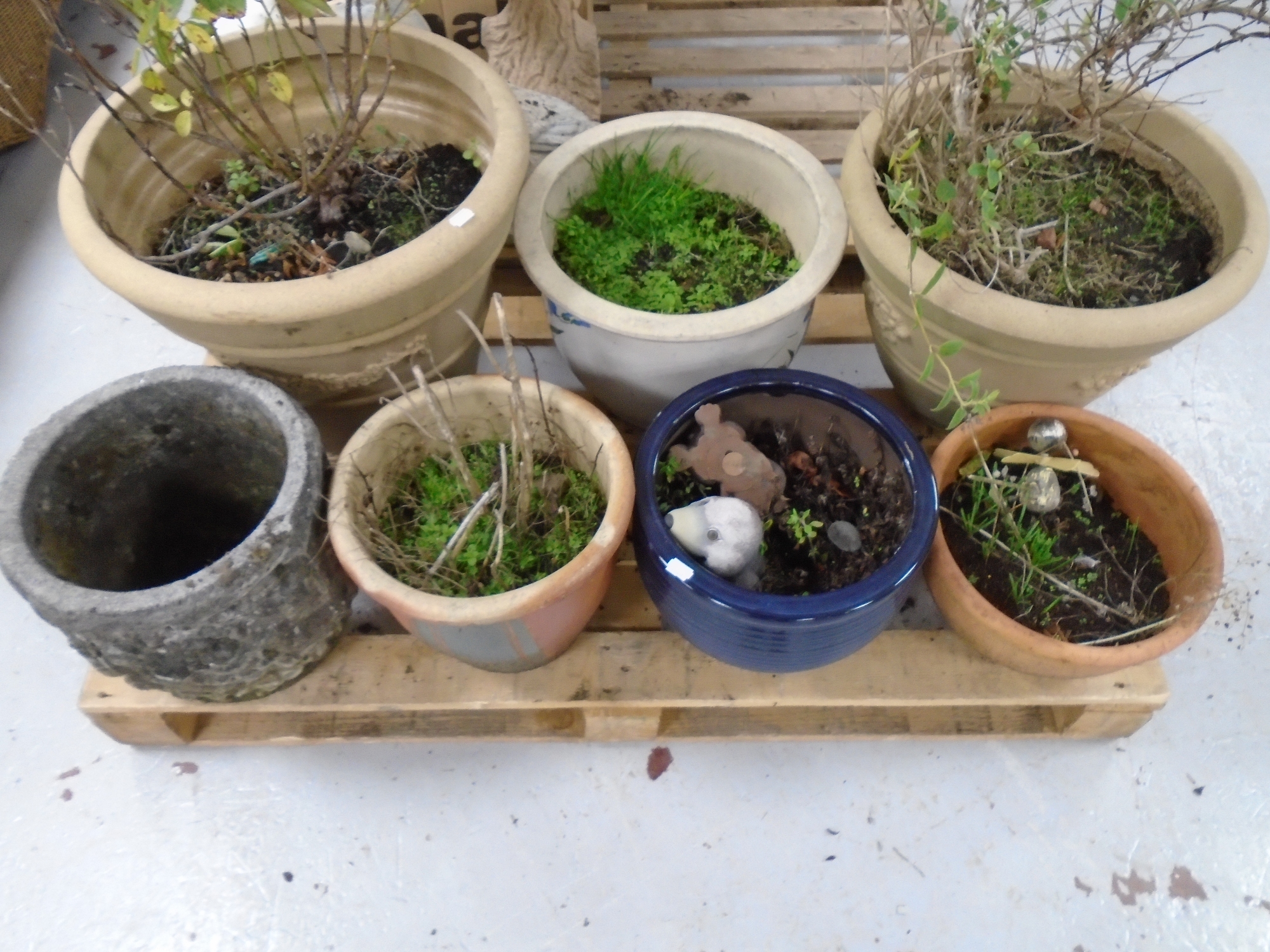 Seven assorted concrete, pottery and plastic garden planters.