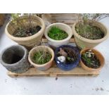 Seven assorted concrete, pottery and plastic garden planters.