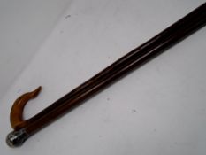 A vintage walking stick together with a walking cane with silver pommel.
