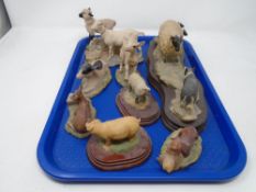 A tray of Border Fine Arts figures including lambs, sheep with sheep dog,
