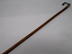 An antique cane with silver plated hoof terminal.
