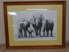 An indistinctly signed limited edition print : Approaching the Watering Hole, no.