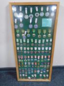 A pine framed display board containing continental medals and badges