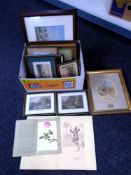 A box of pictures and prints, antique engravings, military figures on horseback etc.