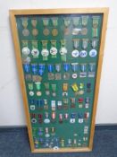 A pine framed display board containing continental medals and badges