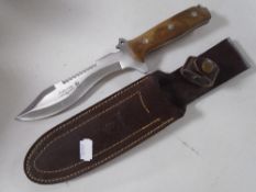 A knife in leather sheath