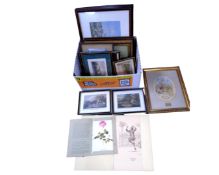 A box of pictures and prints, antique engravings, military figures on horseback etc.