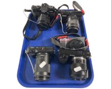 Five cameras including Sony, Canon, and Fujifilm.
