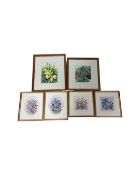 Four watercolours of flowers by Florence Howd in frames and mounts,