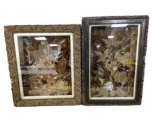 Two 19th century flower montages in gilt display frames.