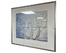 A Continental colour print depicting trees, in frame and mount, indistinctly signed, 56cm by 45cm.