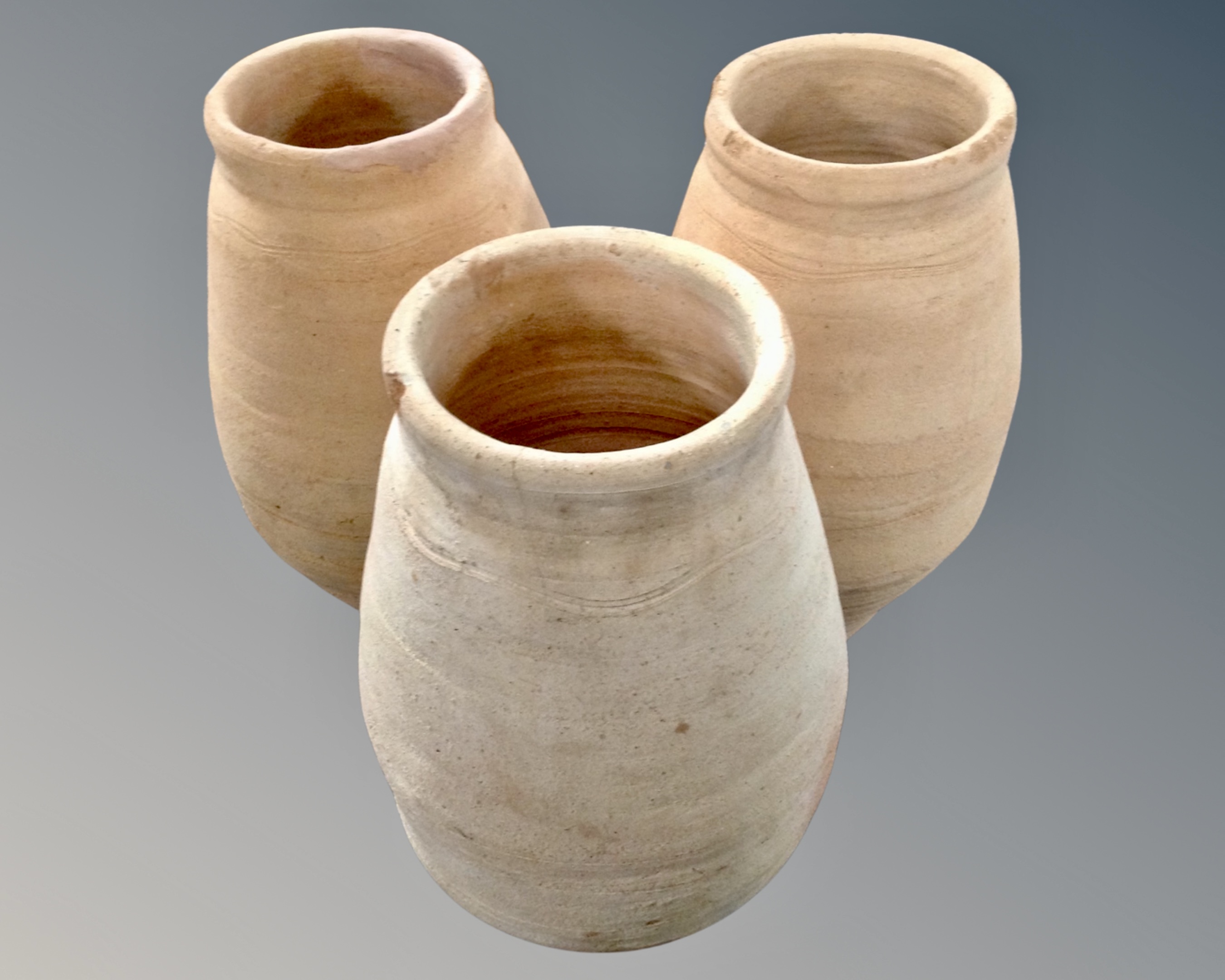 Three terracotta plant pots.